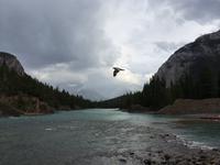 043 Bow-Fluss