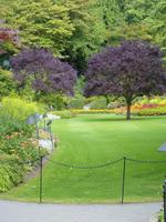 106 Vancouver Island - Butchart Garden