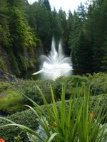 107 Vancouver Island - Butchart Garden