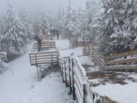Gipfel von Sulphur Mountain