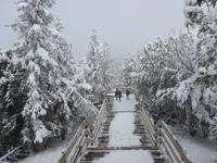 Gipfel von Sulphur Mountain