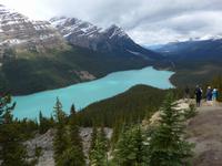 Peyto Lake