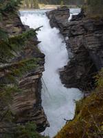 Athabaska-Falls