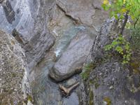 Maligne Canyon - Blick in die Tiefe