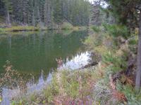 See mit Bibern am Yellowhead Pass