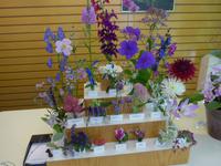 Farbenkollektion Butchart Gardens - hilft zur Bestimmung der Pflanzen