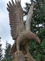 Grouse Mountain - Schnitzskulptur - Adler