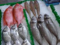 Fischmarkt in Granville Island - Markthalle 