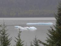 Mendenhall See -Eisbrocken im See