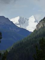 0017 Jasper Nationalpark