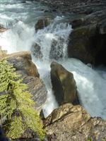 0042 Athabaska Wasserfall