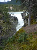 0043 Athabaska Wasserfall