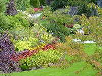 109 Vancouver Island - Butchart Garden
