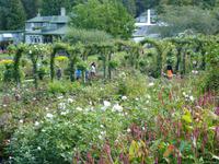 111 Vancouver Island - Butchart Garden