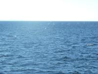 128 Die Wasserfontänen sind da, aber die Wale zeigen sich nicht