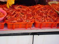 164 Vancouver - Steveston Island - Scampies