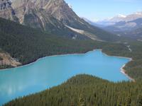 Peyto Lake