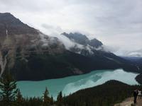134 Peyto-See