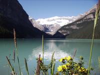 Am Lake Louise