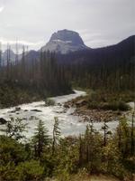 Im Yoho Nationalpark