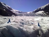 Am Athabasca-Gletscher