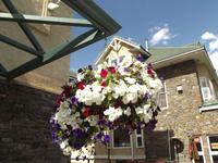 Banff Blumendekoration