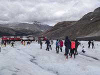 Athabasca Gletscher - Schneemobile