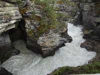 Athabasca Falls