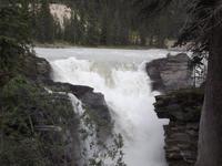 Athabasca Falls
