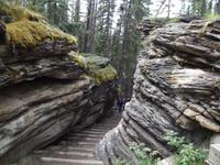 Athabasca Falls