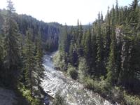 Fifth Bridge - Maligne Trail