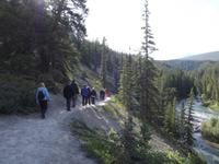 Fifth Bridge - Maligne Trail