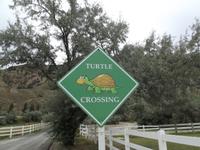 Kamloops Hotel - Achtung Schildkröten!