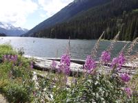 Duffey Lake