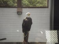 Raptor Centre ( Wildvogelpark)