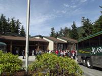 Raptor Centre ( Wildvogelpark)