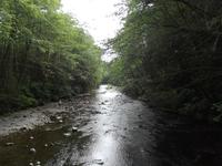 Natural Historic Park Sitka