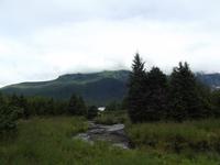 Lachsbäche beim Mendenhall Gletscher