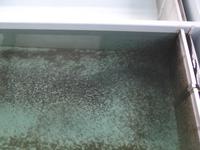 Lachsaufzuchtstation