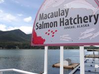 Lachsaufzuchtstation