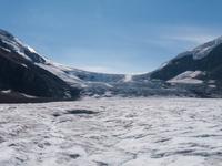 Athabaska Gletscher