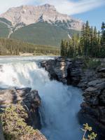 Athabaska Wasserfall