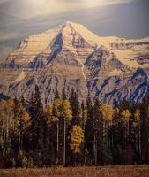 Mount Robson