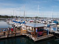 Oak Bay Marina, Vancouver Island