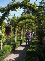 The Butchant Gardens, Vancouver Island