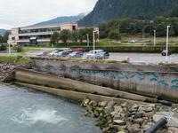 Lachsaufzuchtstation