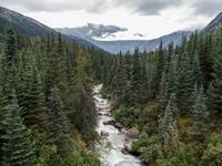 White Pass & Yukon Bahn