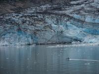Glacier Bay, Alaska