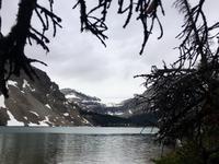Bow Lake und Bow Gletscher