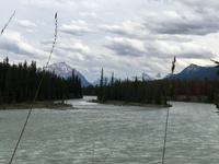 Athabasca River bei Jasper